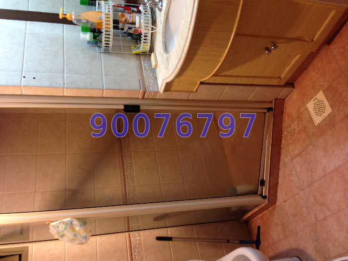 Parc Vista (D22), Condominium #9256052